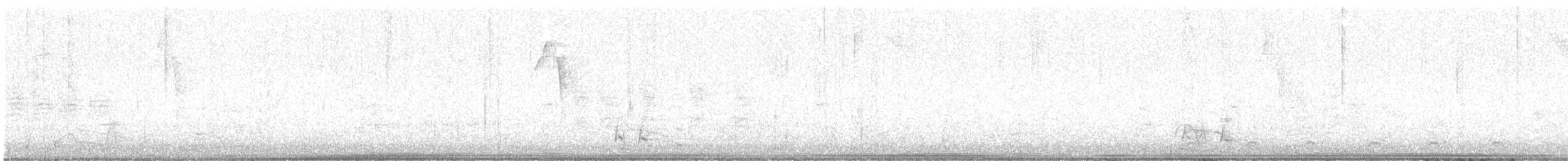 Ring-necked Duck - ML636818515
