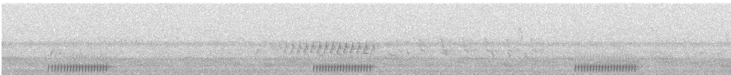 Lesser Spotted Woodpecker - ML636818676