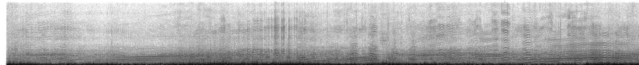 ウミガラス - ML636818907