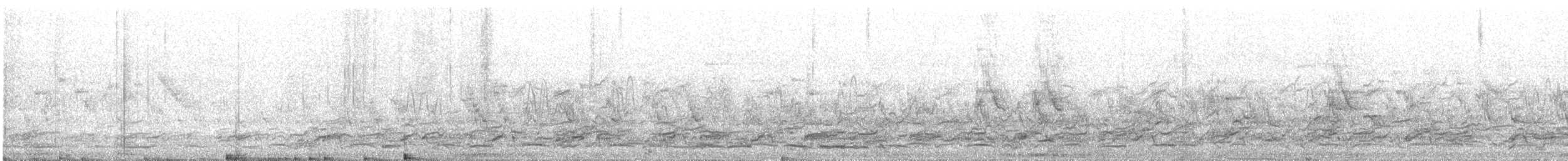 Cormorano - ML636819023