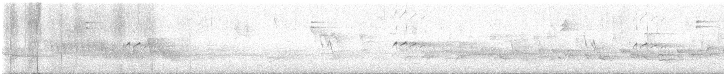 Common Sandpiper - ML636819702