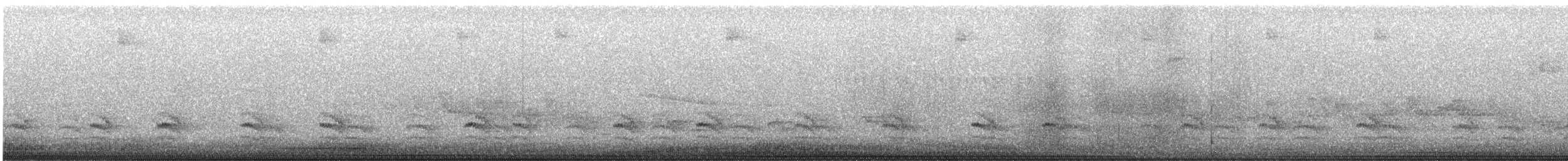 White-breasted Nuthatch - ML636819774