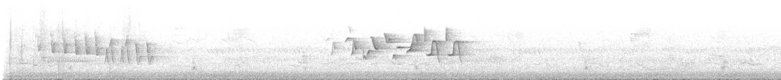 Northern Waterthrush - ML636821958