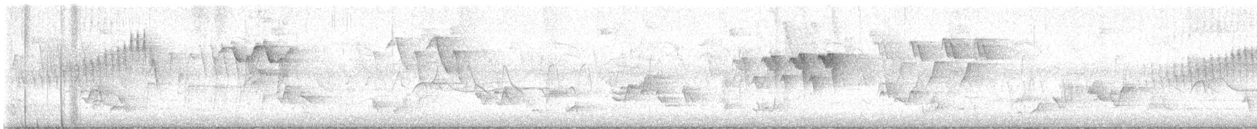 Northern Parula - ML636821966