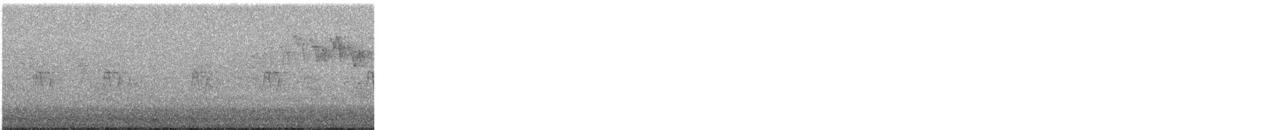 Bay-breasted Warbler - ML636823094