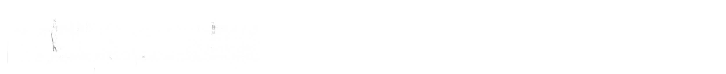 Black-crowned Sparrow-Lark - ML636823986