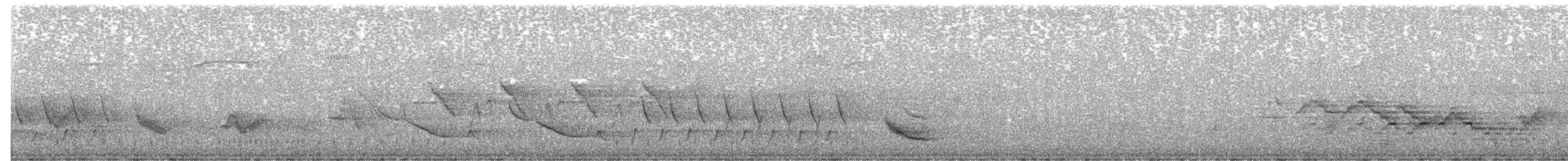 Troglodyte familier - ML636824407