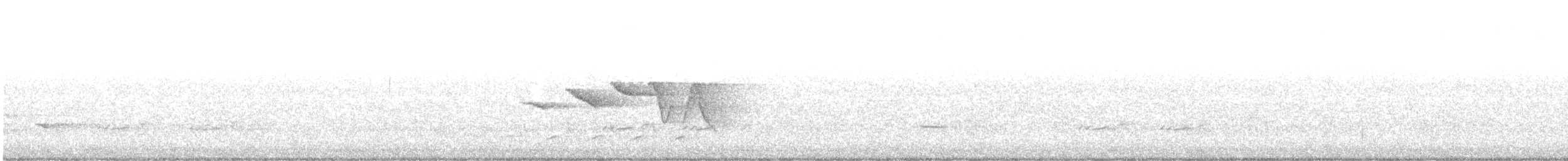 チャカブリアメリカムシクイ - ML636824682