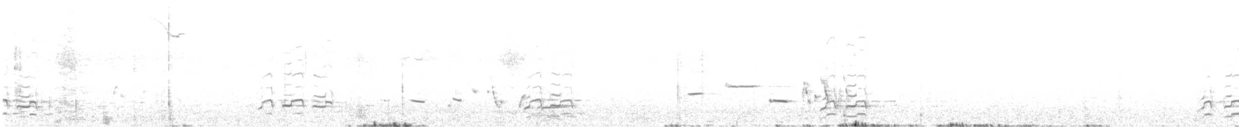 Marbled Godwit - ML636825499