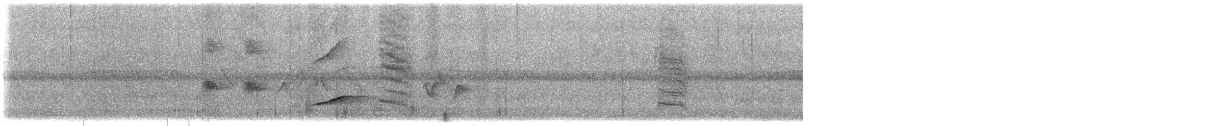 Großschwanzgrackel - ML636825542