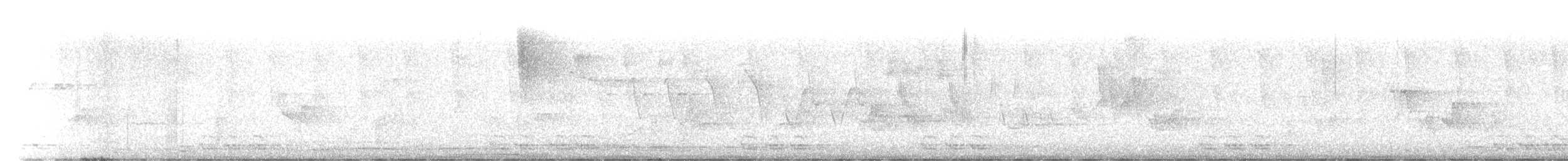 Black-billed Cuckoo - ML636827672