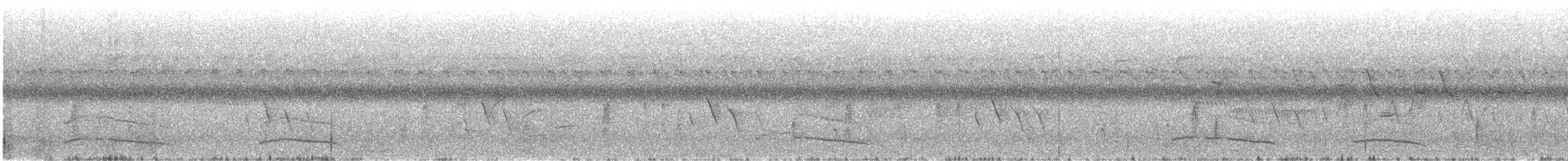 Least Bittern - ML63682921