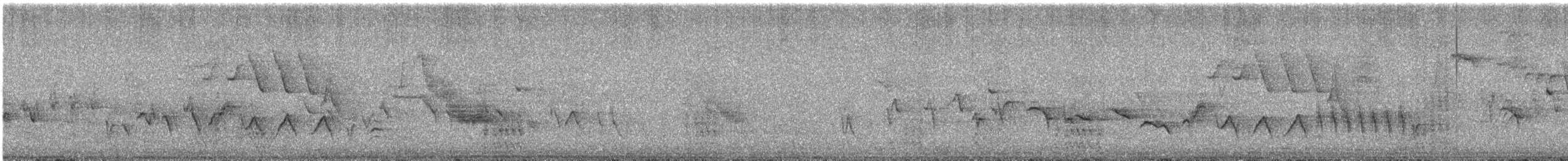 gulparula - ML636831360