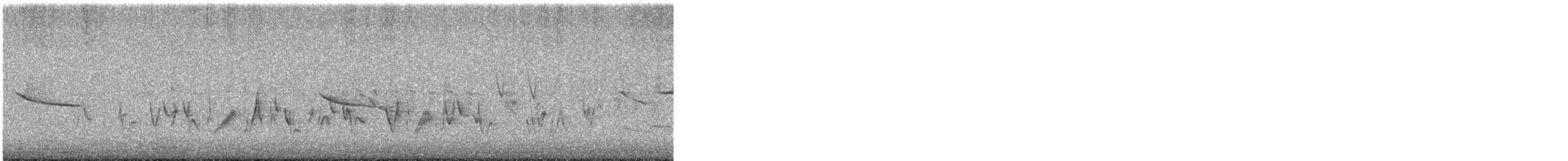 blåtykknebb - ML636831362