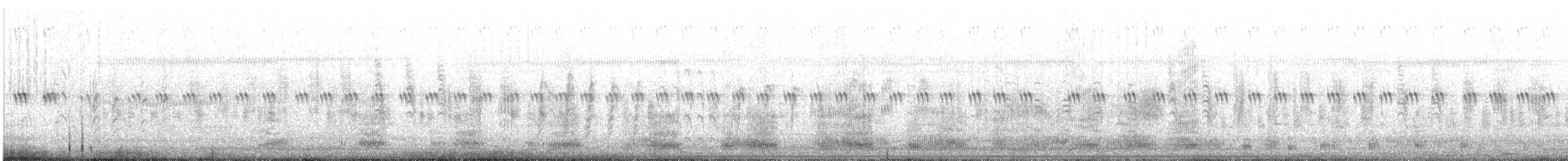Зээрд дэглий - ML636831535