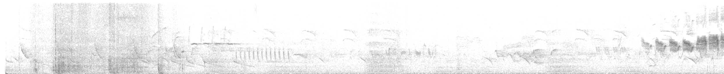 Tropical Parula - ML636832339