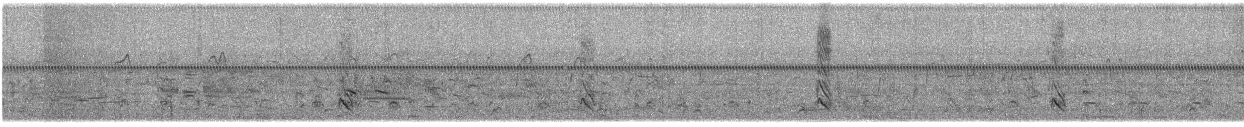 Boat-tailed Grackle - ML636834579