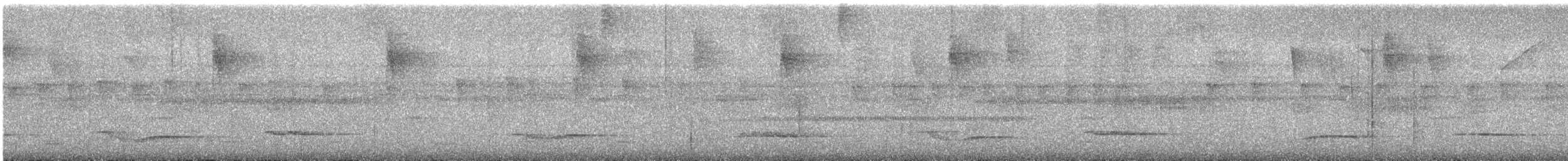White-necked Thrush - ML636836733
