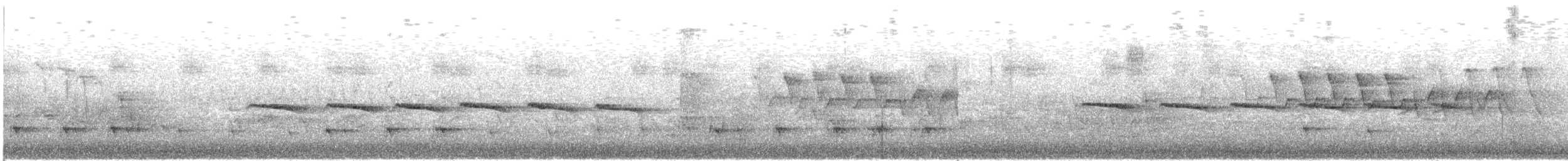Northern Beardless-Tyrannulet - ML636837154