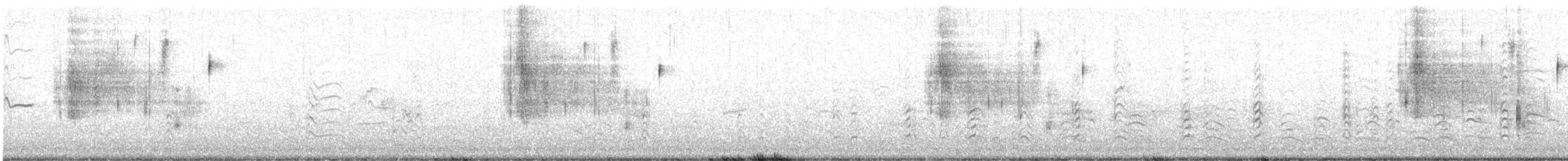 Nelson's Sparrow - ML636839712
