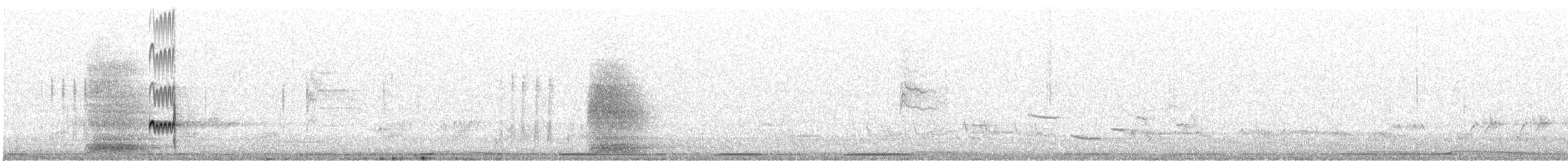 Ash-throated Flycatcher - ML636842517
