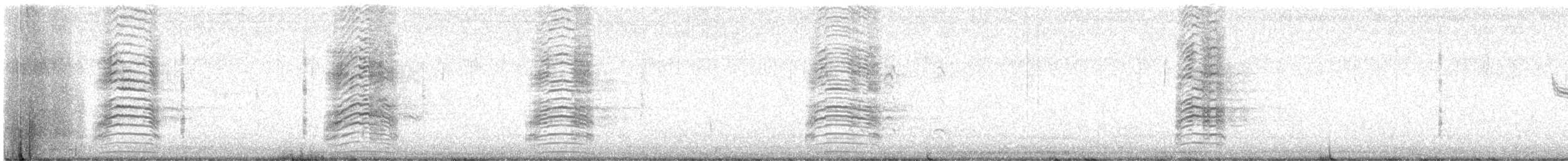 Clapper Rail (Gulf Coast) - ML636843803