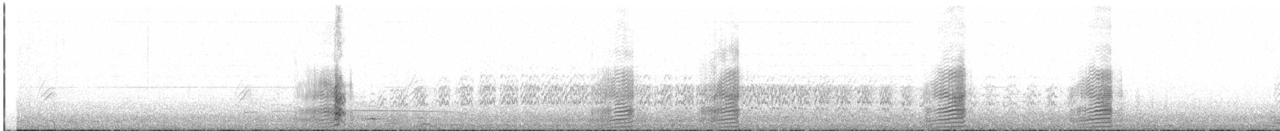 Yellow-billed Pintail - ML636844392