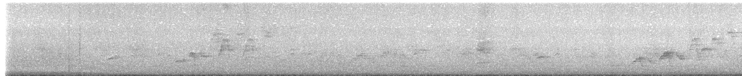 Swainson's Thrush - ML636844891