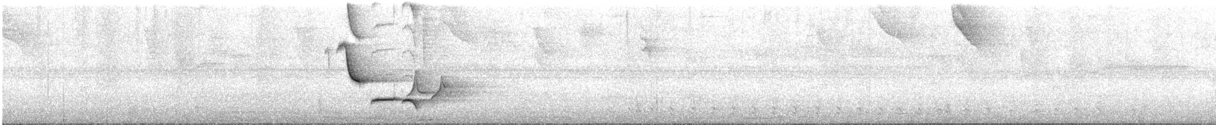 White-breasted Wood-Wren - ML636846061