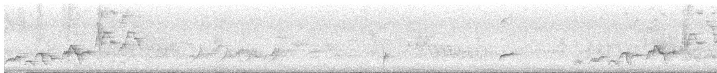 Zorzalito de Swainson - ML636847447