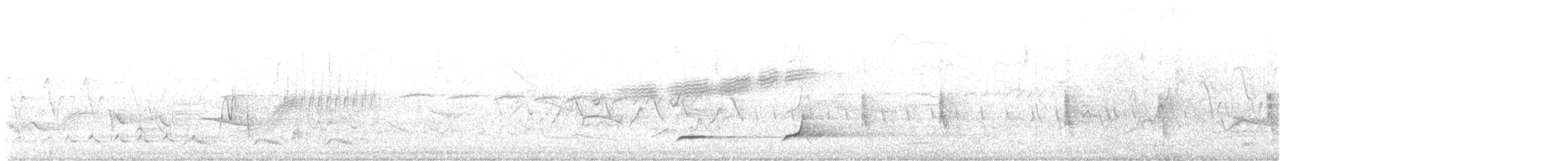 Colino della Virginia - ML636850228