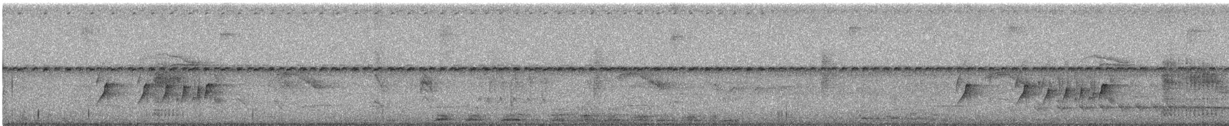 Rußkappen-Kleintyrann - ML636851001