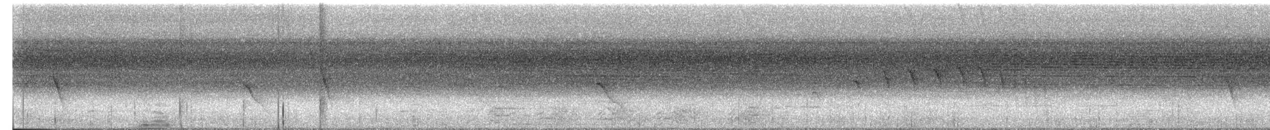 Dot-winged Antwren - ML636851241