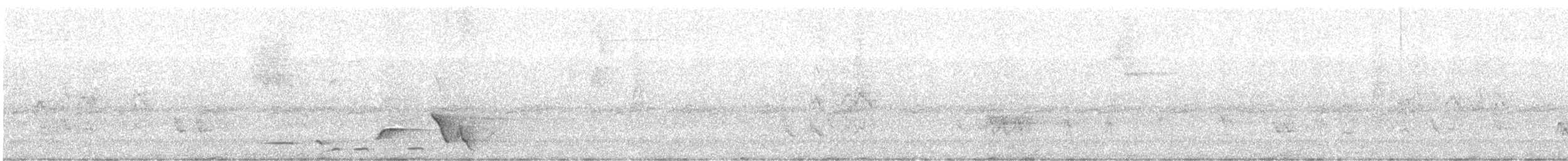 Whiskered Wren - ML636851711