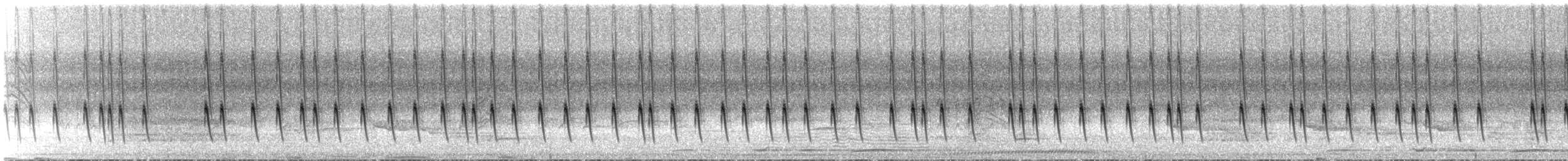 Wedge-tailed Sabrewing (Long-tailed) - ML636852126