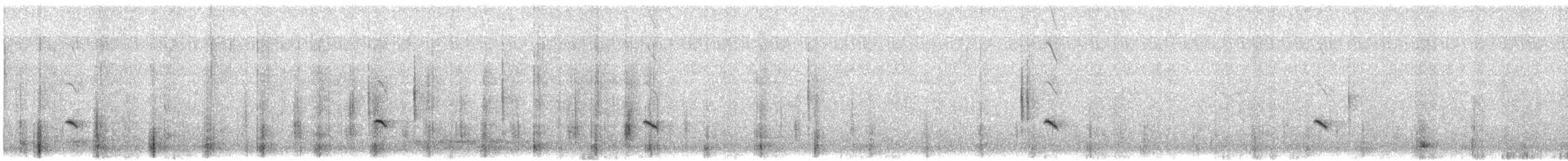 wheatear sp. - ML636852758