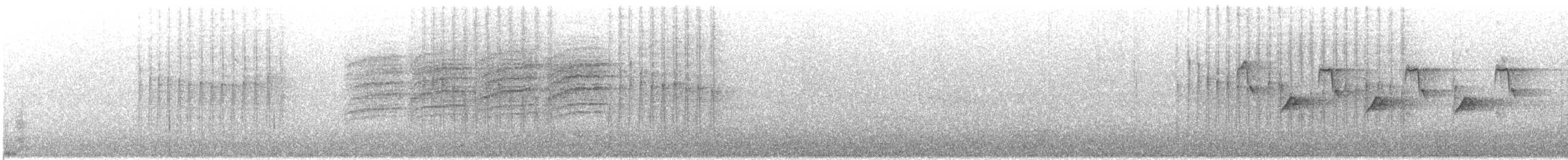 skjellkronestubbstjert - ML636853807