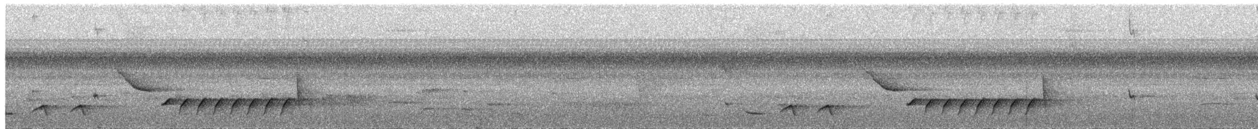 Sinaloa Wren - ML636853811