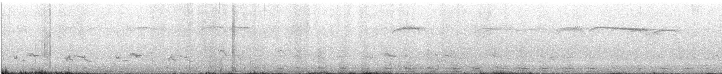 Cygne tuberculé - ML636853913