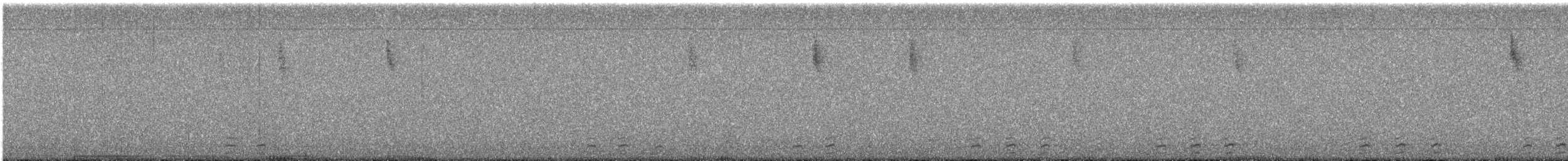 Utcubamba Tapaculo - ML636854076