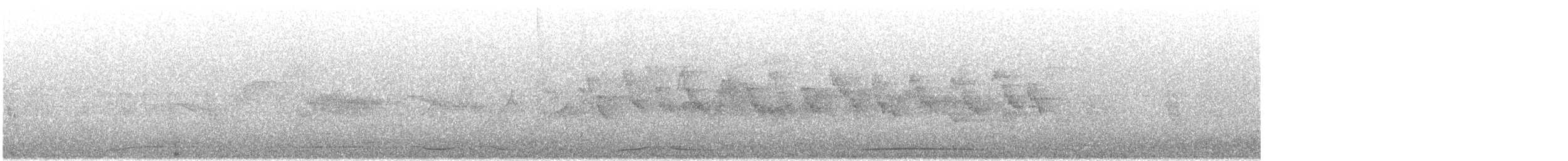 hvitbukgrønndue - ML636854161