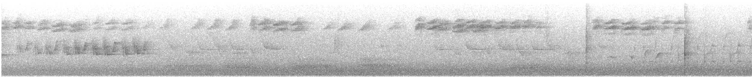 Buschstutzschwanz - ML636855488