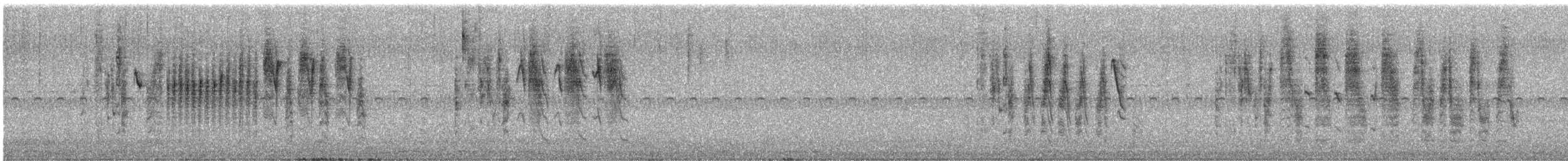 Grass Wren - ML636856925