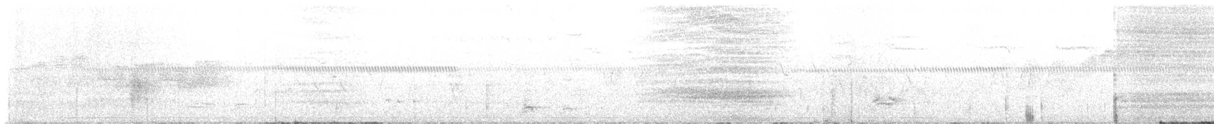Swainson's Thrush - ML636857337