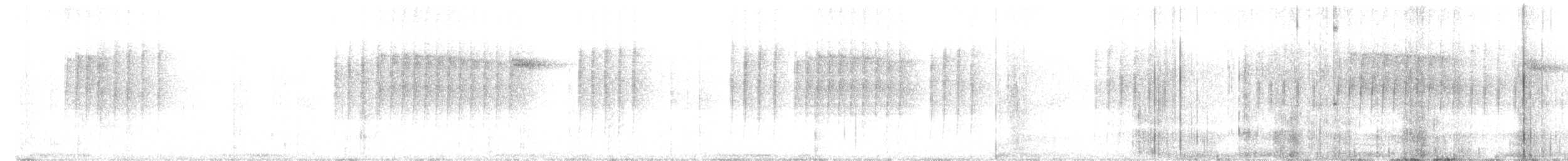 Squamate Antbird - ML636857647