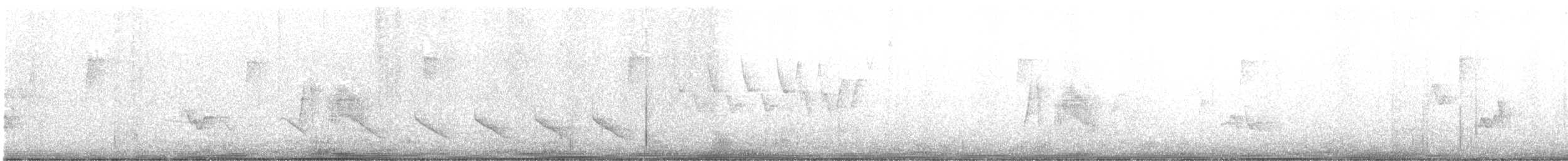 Willow Flycatcher - ML636858584