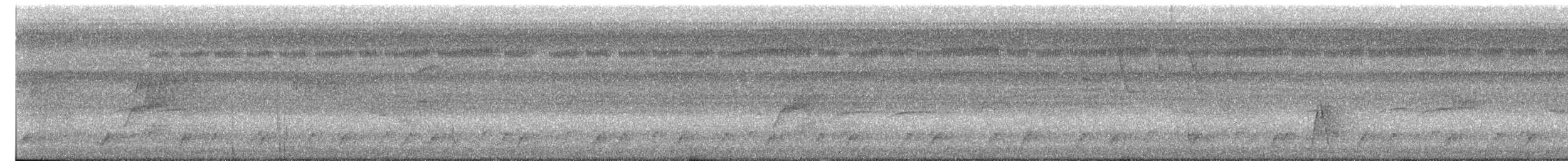 Tyran licteur - ML636861538