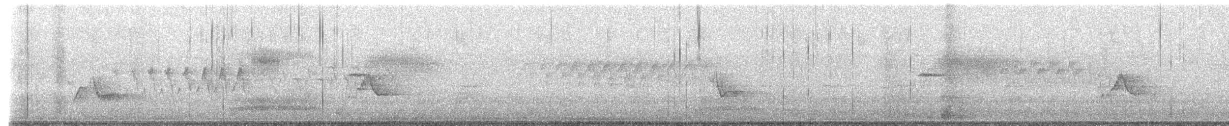 Cassin's Vireo - ML636861539