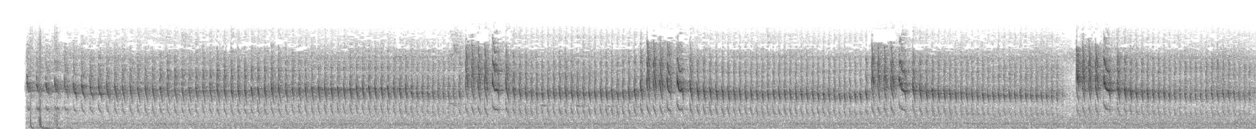 Plain Softtail - ML636862273