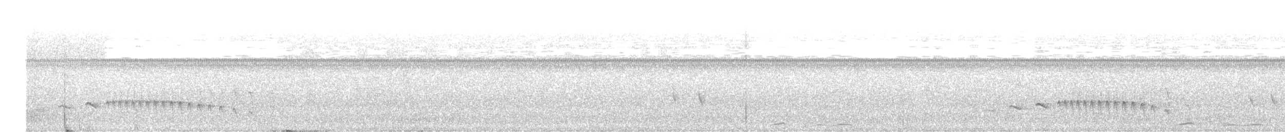 Inambari-Tambopata Antwren (undescribed form) - ML636862945